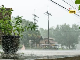 Weather Alert : विदर्भात पुढील 4 दिवस जोरदार पावसाचा अंदाज, वाचा कोणत्या जिल्ह्यांना दिला इशारा? Weather Alert : विदर्भात पुढील 4 दिवस जोरदार पावसाचा अंदाज, वाचा कोणत्या जिल्ह्यांना दिला इशारा?