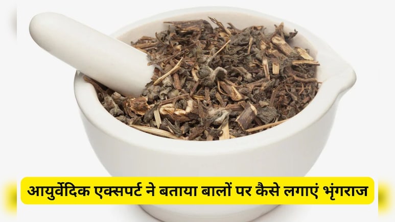 बालों पर भृंगराज कैसे लगाते हैं? आयुर्वेदिक एक्सपर्ट ने बताया Bhringraj का कैसे करते हैं इस्तेमाल, बढ़ने लगेंगे बाल