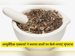 बालों पर भृंगराज कैसे लगाते हैं? आयुर्वेदिक एक्सपर्ट ने बताया Bhringraj का कैसे करते हैं इस्तेमाल, बढ़ने लगेंगे बाल बालों पर भृंगराज कैसे लगाते हैं? आयुर्वेदिक एक्सपर्ट ने बताया Bhringraj का कैसे करते हैं इस्तेमाल, बढ़ने लगेंगे बाल
