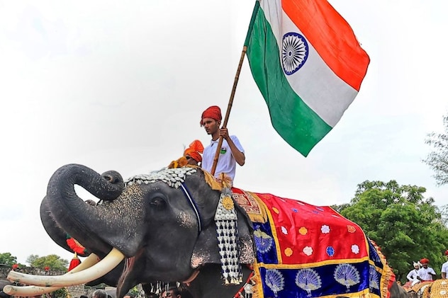 हाथी गांव में रहते है 75 हाथी हाथी गांव में रहते है 75 हाथी