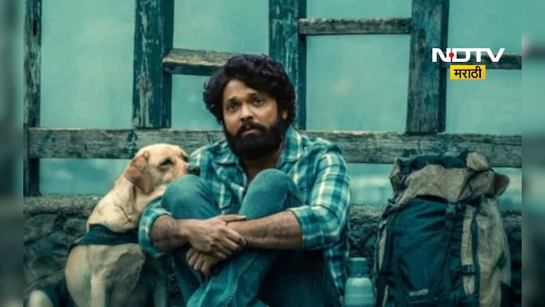 Dog Lovers च्या मनाला भिडणारा चित्रपट, प्रत्येक सीनला कोसळेल रडू, केलीय बजेटच्या 7 पट कमाई Dog Lovers च्या मनाला भिडणारा चित्रपट, प्रत्येक सीनला कोसळेल रडू, केलीय बजेटच्या 7 पट कमाई