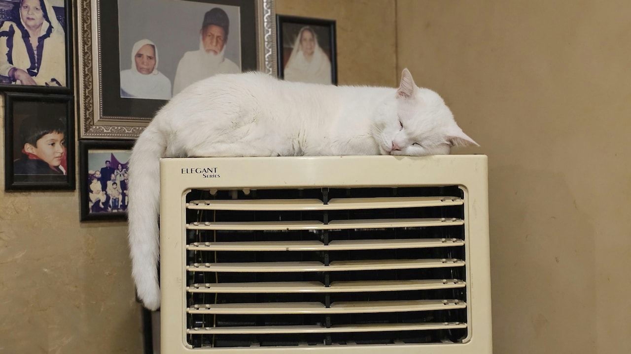Best Portable Air Coolers Under ₹5,000 for Powerful Room Cooling in 2025