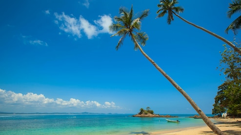 How To Plan Goa Trip In Just INR 15000 And Still Have A Fabulous Time