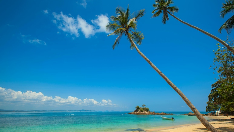How To Plan Goa Trip In Just INR 15000 And Still Have A Fabulous Time
