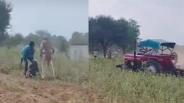 Khatushyamji: पुलिस आई तो अपने ही घर की वृद्ध महिला को चलते ट्रैक्टर के सामने डाला, हुए गिरफ्तार