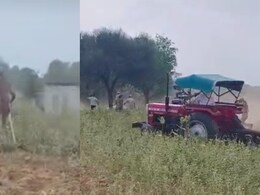 Khatushyamji: पुलिस आई तो अपने ही घर की वृद्ध महिला को चलते ट्रैक्टर के सामने डाला, हुए गिरफ्तार