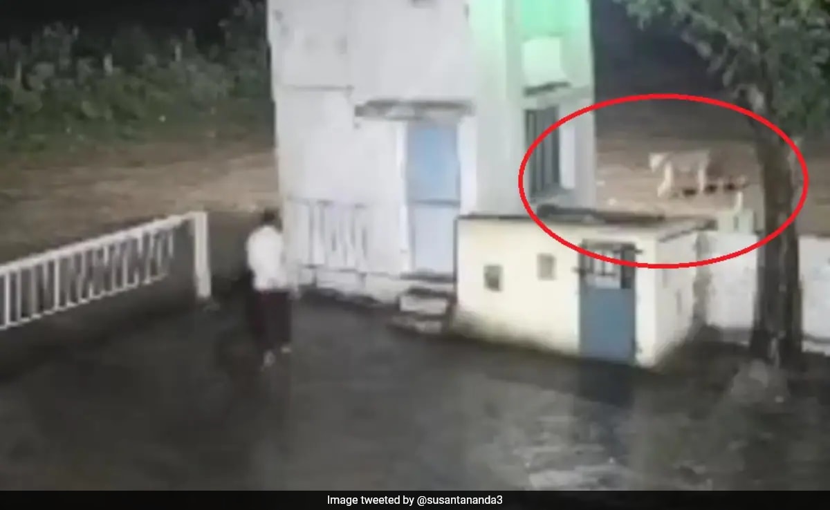 Вирусно видео от циментова фабрика в района на Джуджарат в