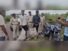 बिहार के बगहा में शराब तस्करी का अनोखा तरीका, सब्जी के बोरे में छिपा रखी थी बोतलें, पुलिस ने दो को दबोचा बिहार के बगहा में शराब तस्करी का अनोखा तरीका, सब्जी के बोरे में छिपा रखी थी बोतलें, पुलिस ने दो को दबोचा