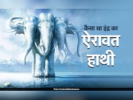 गजलक्ष्मी से लेकर गजेंद्र मोक्ष तक कैसे जुड़ा हाथी, जानें देवी-देवताओं से जुड़े गजराज की पूरी कहानी गजलक्ष्मी से लेकर गजेंद्र मोक्ष तक कैसे जुड़ा हाथी, जानें देवी-देवताओं से जुड़े गजराज की पूरी कहानी