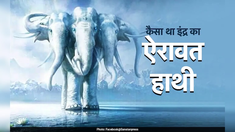 गजलक्ष्मी से लेकर गजेंद्र मोक्ष तक कैसे जुड़ा हाथी, जानें देवी-देवताओं से जुड़े गजराज की पूरी कहानी गजलक्ष्मी से लेकर गजेंद्र मोक्ष तक कैसे जुड़ा हाथी, जानें देवी-देवताओं से जुड़े गजराज की पूरी कहानी