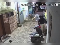 Video: Stray Dog Bites Elderly Man On Face, Locals Say He&#039;s Victim No. 14