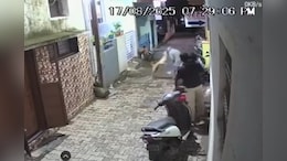 Video: Stray Dog Bites Elderly Man On Face, Locals Say He's Victim No. 14