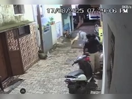 Video: Stray Dog Bites Elderly Man On Face, Locals Say He's Victim No. 14 Video: Stray Dog Bites Elderly Man On Face, Locals Say He's Victim No. 14