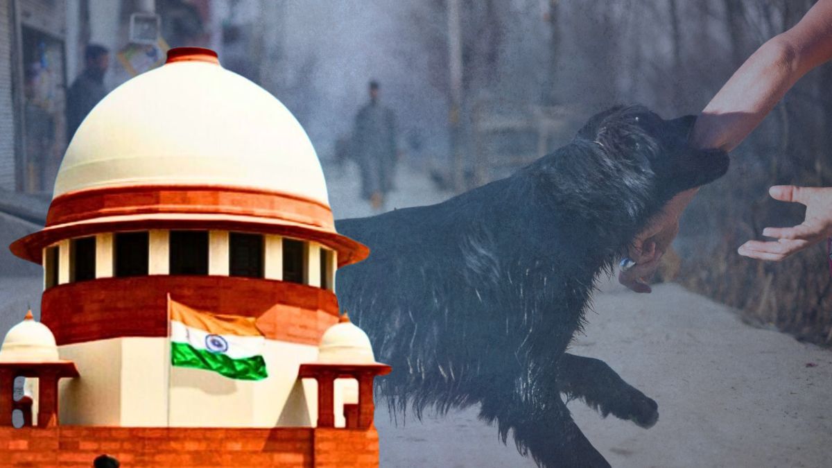 जेल या जुर्माना... आवारा कुत्तों को पकड़ने से रोका तो क्‍या कार्रवाई हो सकती है?