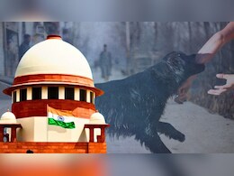 जेल या जुर्माना... आवारा कुत्तों को पकड़ने से रोका तो क्‍या कार्रवाई हो सकती है?
