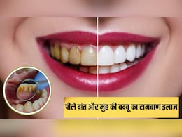 बासी मुंह चबा लें 2 पत्ते, फिर कभी नहीं होंगे पीले दांत और नहीं आएगी मुंह से बदबू बासी मुंह चबा लें 2 पत्ते, फिर कभी नहीं होंगे पीले दांत और नहीं आएगी मुंह से बदबू