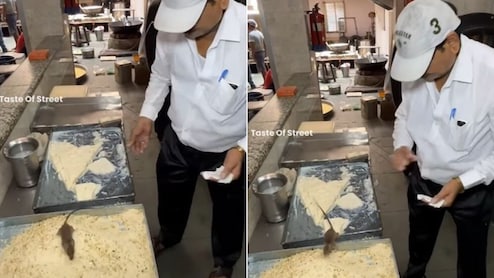 लखनऊ की इस जानी-मानी मिठाई की दुकान में खाने की चीजों पर दौड़ते दिखे चूहे, वायरल Video देख लोग हैरान