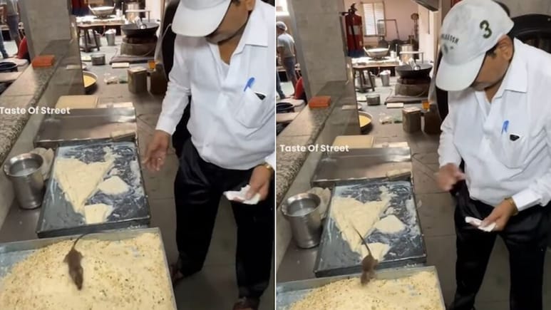 लखनऊ की इस जानी-मानी मिठाई की दुकान में खाने की चीजों पर दौड़ते दिखे चूहे, वायरल Video देख लोग हैरान लखनऊ की इस जानी-मानी मिठाई की दुकान में खाने की चीजों पर दौड़ते दिखे चूहे, वायरल Video देख लोग हैरान