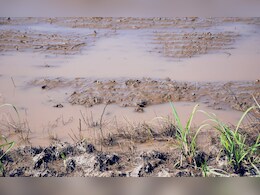 Heavy Rain : छत्रपती संभाजीनगरमध्ये तुफान पाऊस, हजारो हेक्टर शेती पाण्याखाली; शेतकरी रडकुंडीला!
