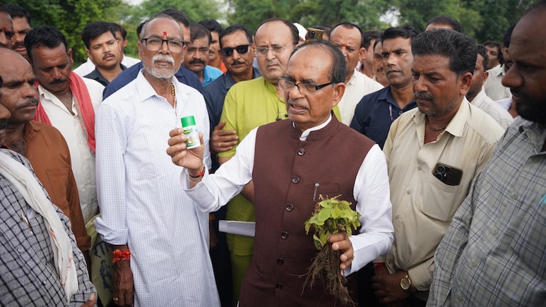 Shivraj Chouhan's Surprise Visit To Soyabean Field After Farmers' Complaint Shivraj Chouhan's Surprise Visit To Soyabean Field After Farmers' Complaint