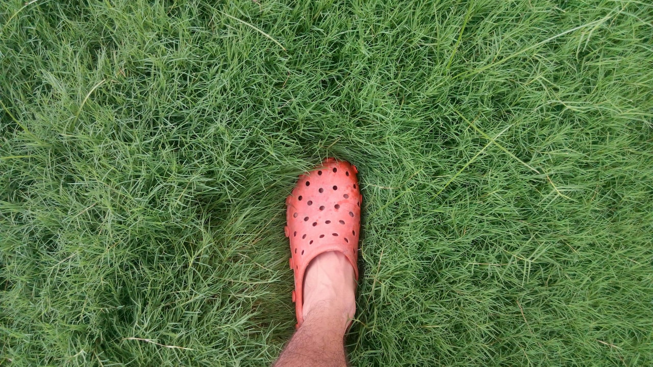 5 best Crocs deals on clogs and sneakers on Myntra: Where comfort meets style.