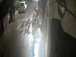 On Camera, 7 Stray Dogs Attack Maharashtra Man. Then A Dramatic Escape