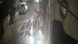 On Camera, 7 Stray Dogs Attack Maharashtra Man. Then A Dramatic Escape
