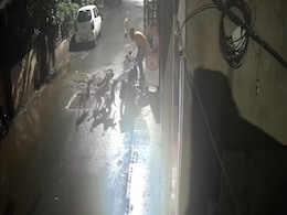 On Camera, 7 Stray Dogs Attack Maharashtra Man. Then A Dramatic Escape On Camera, 7 Stray Dogs Attack Maharashtra Man. Then A Dramatic Escape