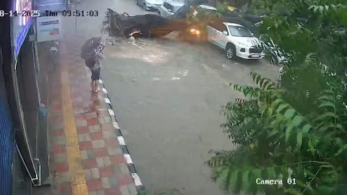 Video: Massive Tree Uprooted, Crushes Biker To Death In Delhi Rain Chaos