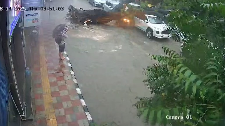 Video: Massive Tree Uprooted, Crushes Biker To Death In Delhi Rain Chaos