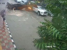 Video: Massive Tree Uprooted, Crushes Biker To Death In Delhi Rain Chaos Video: Massive Tree Uprooted, Crushes Biker To Death In Delhi Rain Chaos