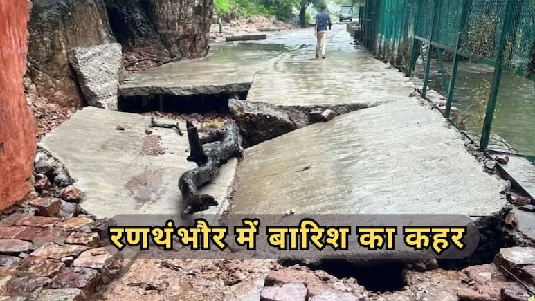Heavy rain Rajasthan: सवाई माधोपुर में टूरिज्म ठप! टाइगर सफारी से लेकर मंदिर तक सब बंद Heavy rain Rajasthan: सवाई माधोपुर में टूरिज्म ठप! टाइगर सफारी से लेकर मंदिर तक सब बंद
