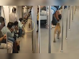 दिल्ली मेट्रो में बंदर ने ली धमाकेदार एंट्री, घुसते ही इधर-उधर कोच में लगाई दौड़, यात्रियों के बीच मचा हड़कंप