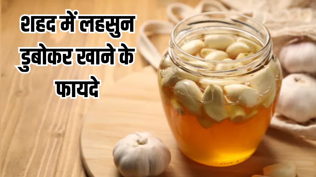 सुबह खाली पेट लहसुन और शहद खाने से क्या होता है? आयुर्वेदिक डॉक्टर ने बताए जबरदस्त फायदे