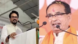 After Anurag Thakur's 'Hanuman In Space' Remark, BJP Leader's '1st Plane' Claim