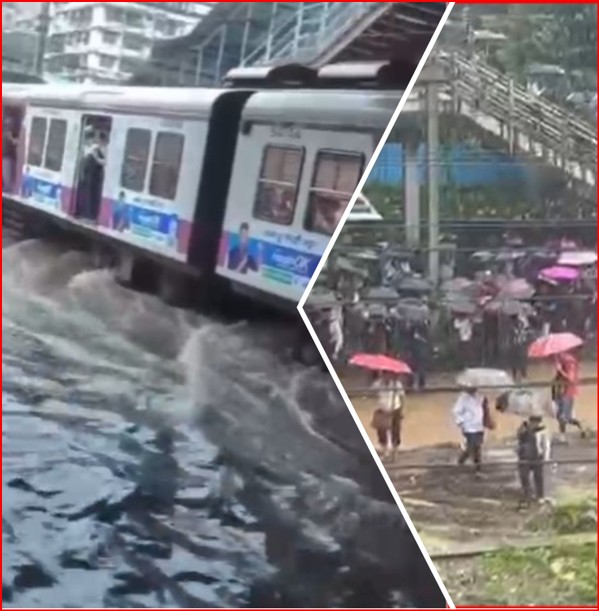 Mumbai Local Update: मूसलाधार बारिश से ठप मुंबई लोकल की रफ्तार, नालासोपारा से सेंट्रल-हार्बर तक, देखें हालात