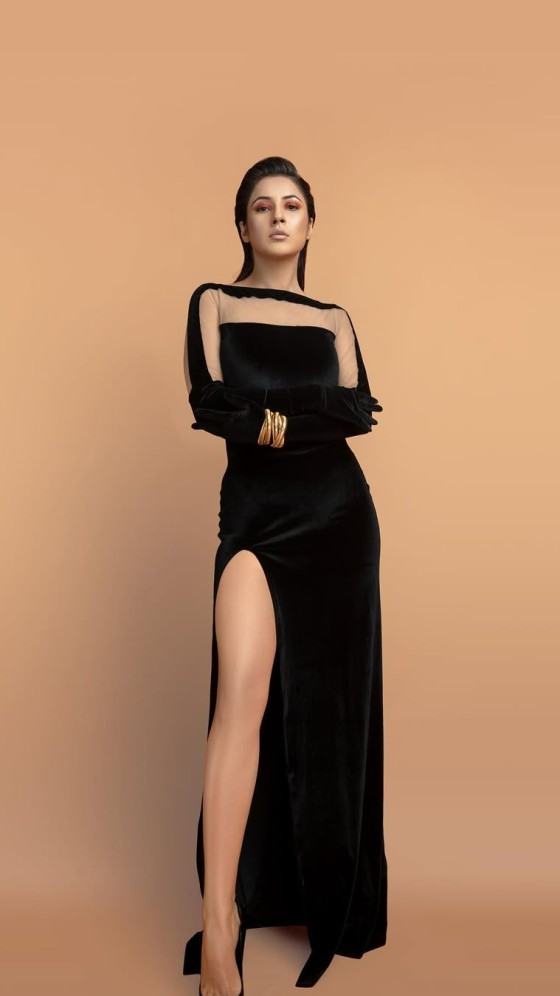 Shehnaaz Gill Slays in a Classic Black Attire