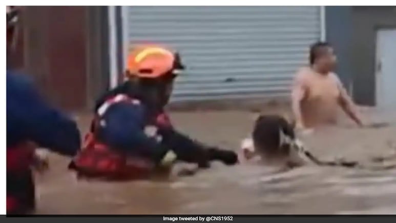"Save My Wife First": China Man's Selfless Plea To Rescuers Amid Floods Goes Viral "Save My Wife First": China Man's Selfless Plea To Rescuers Amid Floods Goes Viral
