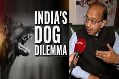 "Bites Have Increased, Issue Has Gone Above Our Heads Now": Vijay Goel On Stray Dog Attacks "Bites Have Increased, Issue Has Gone Above Our Heads Now": Vijay Goel On Stray Dog Attacks