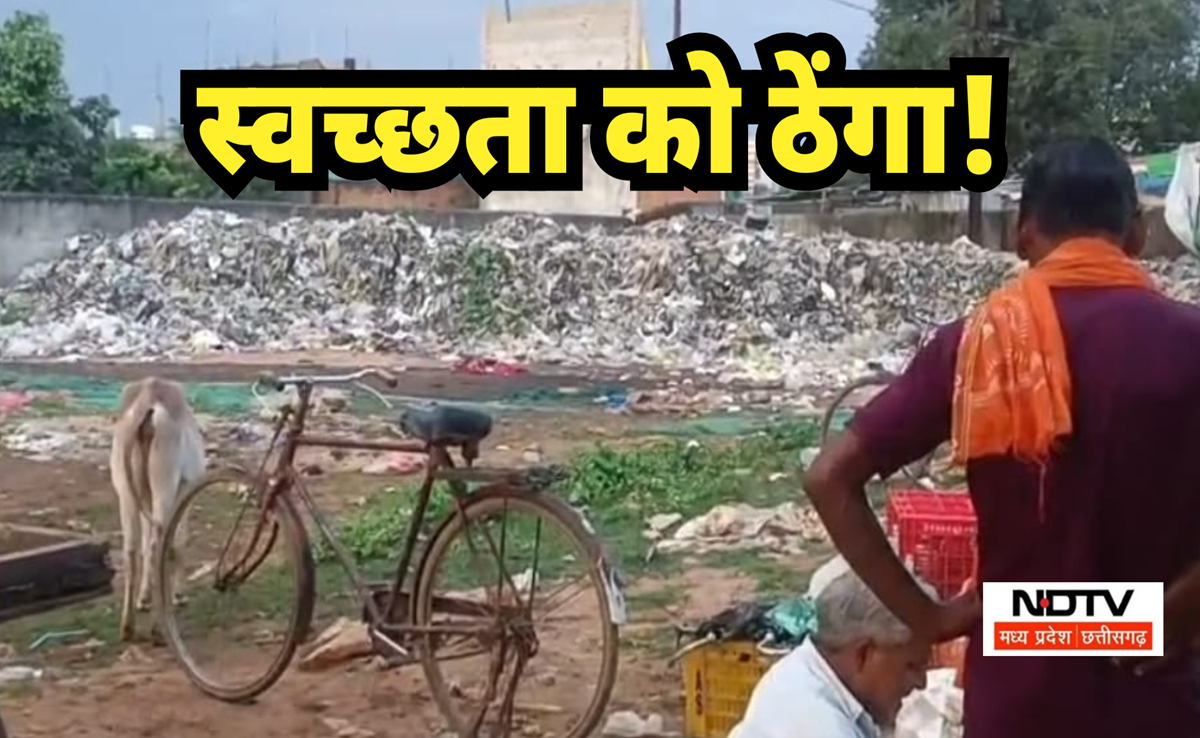 Clean City Scam: सरकारी खजाने की सफाई; शहर में गंदगी का पहाड़, यहां EOW तक पहुंची घोटाले की आंच