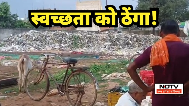 Clean City Scam: सरकारी खजाने की सफाई; शहर में गंदगी का पहाड़, यहां EOW तक पहुंची घोटाले की आंच Clean City Scam: सरकारी खजाने की सफाई; शहर में गंदगी का पहाड़, यहां EOW तक पहुंची घोटाले की आंच