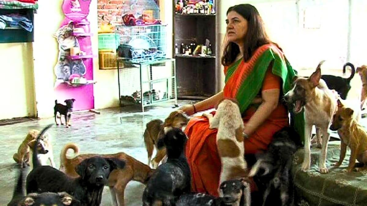 Latest and Breaking News on NDTV Latest and Breaking News on NDTV