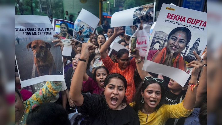 आवारा कुत्तों के मामले में दिल्ली पुलिस का एक्शन, डॉग लवर्स पर दर्ज कीं 4 FIR आवारा कुत्तों के मामले में दिल्ली पुलिस का एक्शन, डॉग लवर्स पर दर्ज कीं 4 FIR