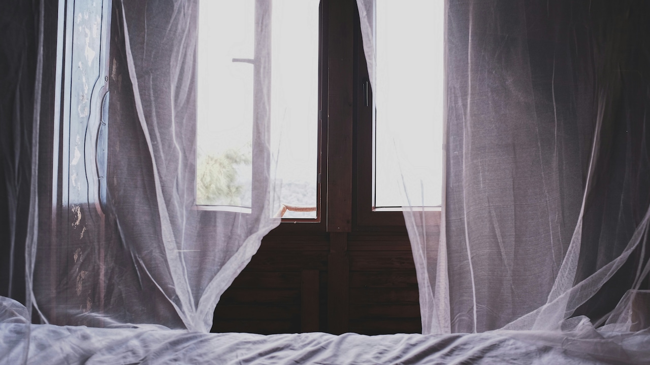 This Summer And Monsoon Get Mosquito Nets For Windows And Doors From Amazon 
