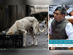 &quot;Killed 2,800 Dogs, Can Go To Jail If Needed&quot;: Shocker From Karnataka Leader