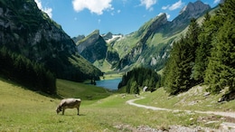 Want To Live, Work, And Start A Business In Switzerland? This Schengen Country Has A Golden Visa For Indians