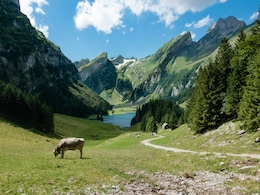 Want To Live, Work, And Start A Business In Switzerland? This Schengen Country Has A Golden Visa For Indians Want To Live, Work, And Start A Business In Switzerland? This Schengen Country Has A Golden Visa For Indians