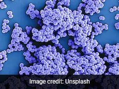 Fitness Enthusiasts Warned in US, UK After Rise In Superbug Infections