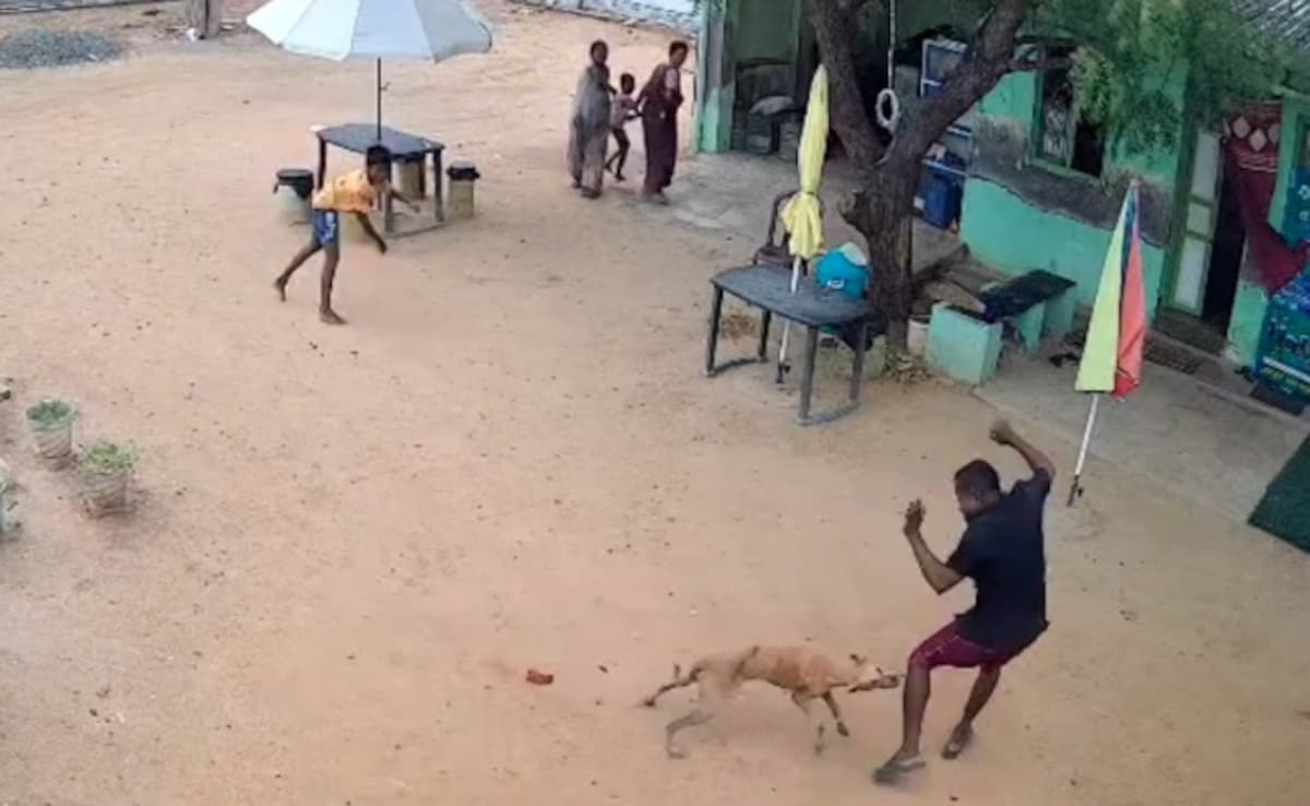 On Camera, Stray Dog Attacks Boy, Father Outside Tamil Nadu Home