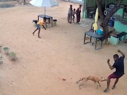 On Camera, Stray Dog Attacks Boy, Father Outside Tamil Nadu Home